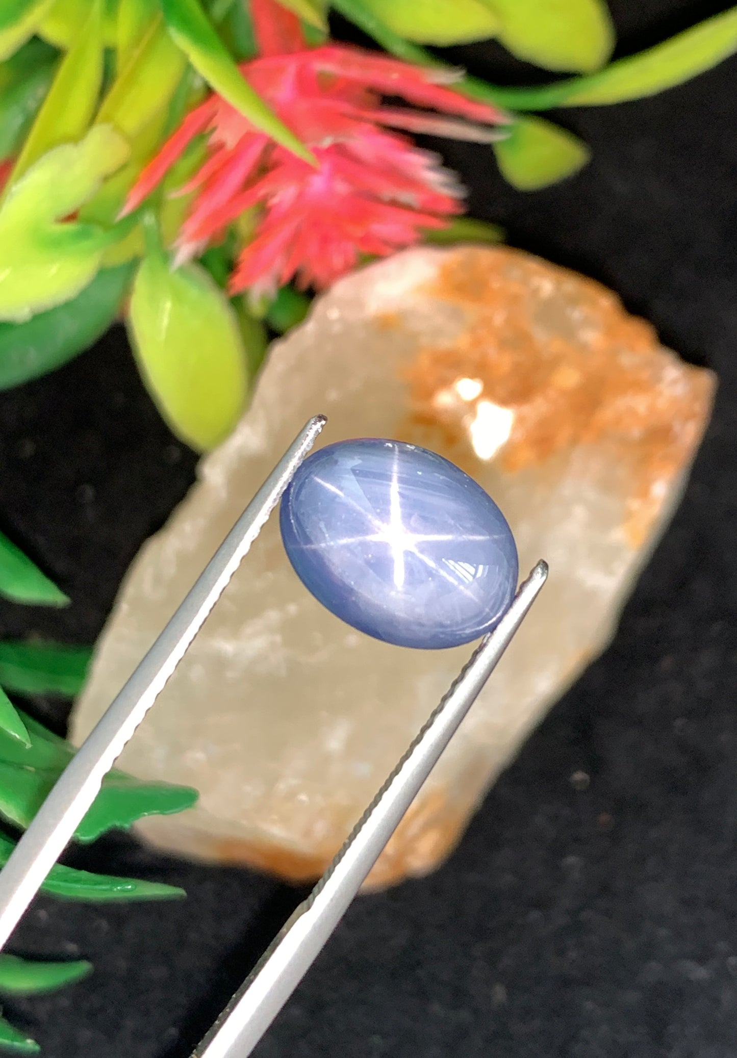 8.04 cts Unheated Star Sapphire