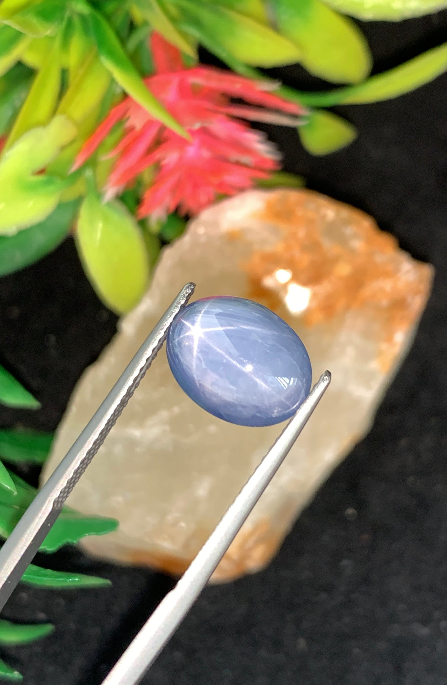8.04 cts Unheated Star Sapphire