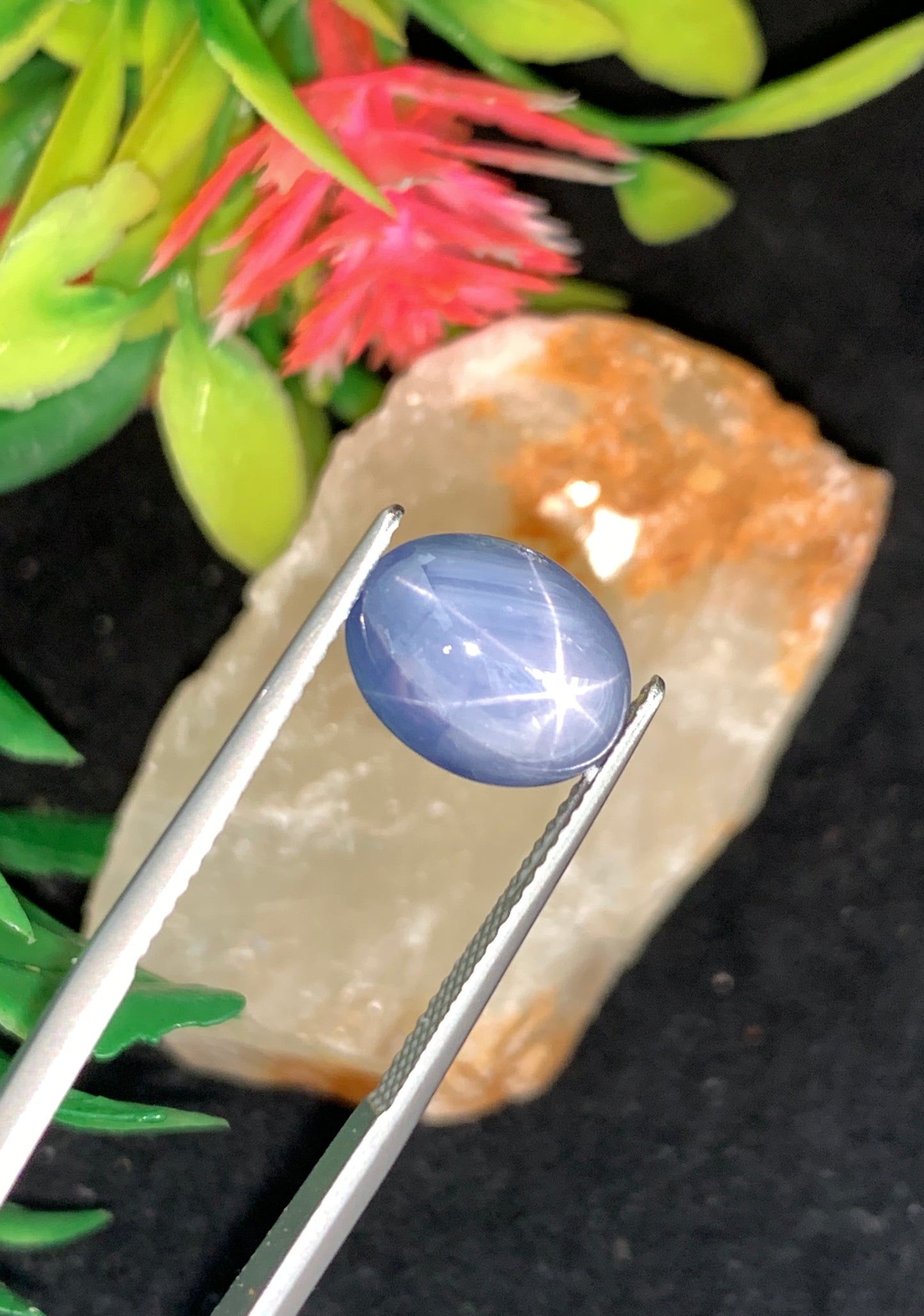 8.04 cts Unheated Star Sapphire