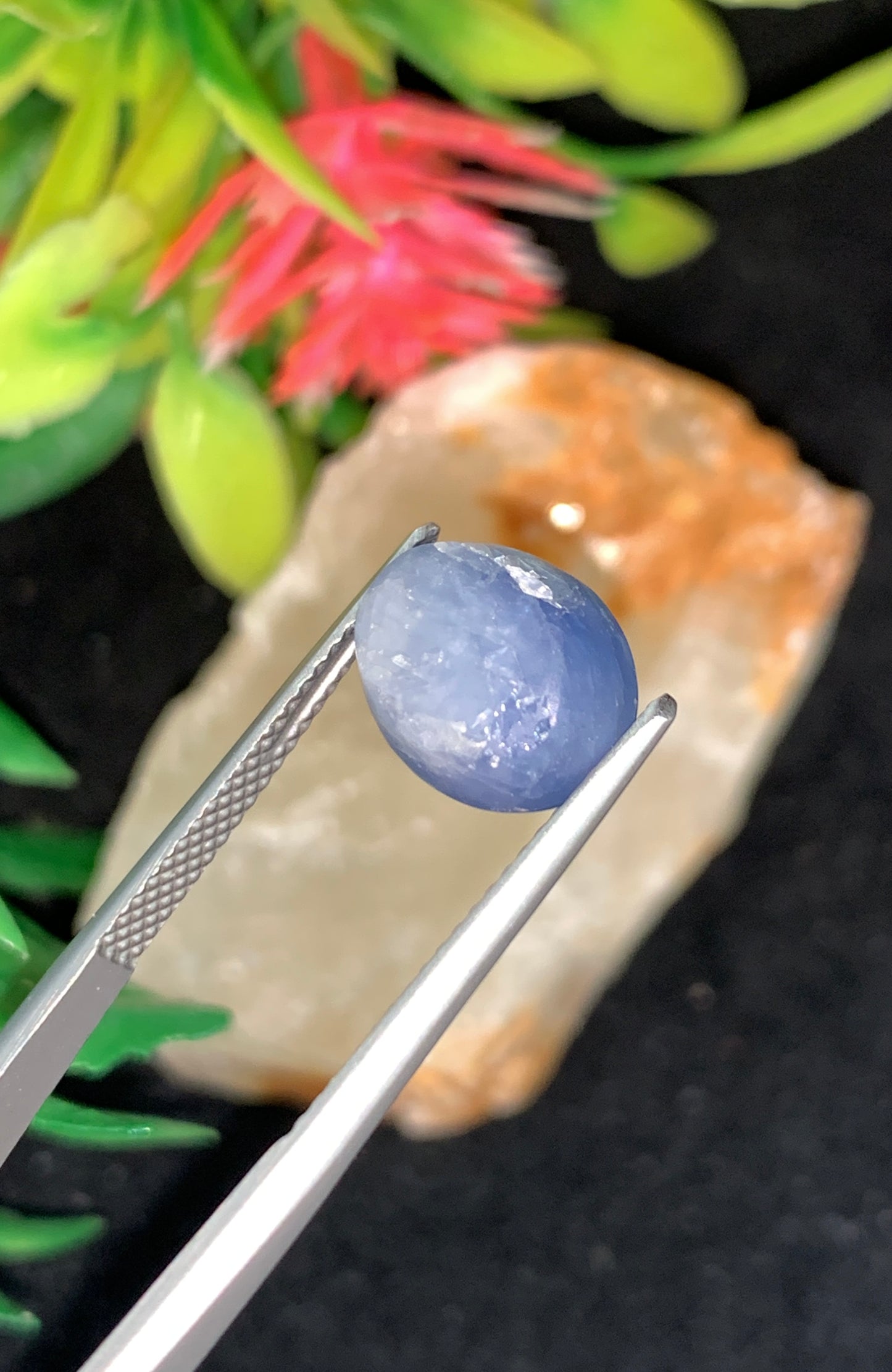 8.04 cts Unheated Star Sapphire