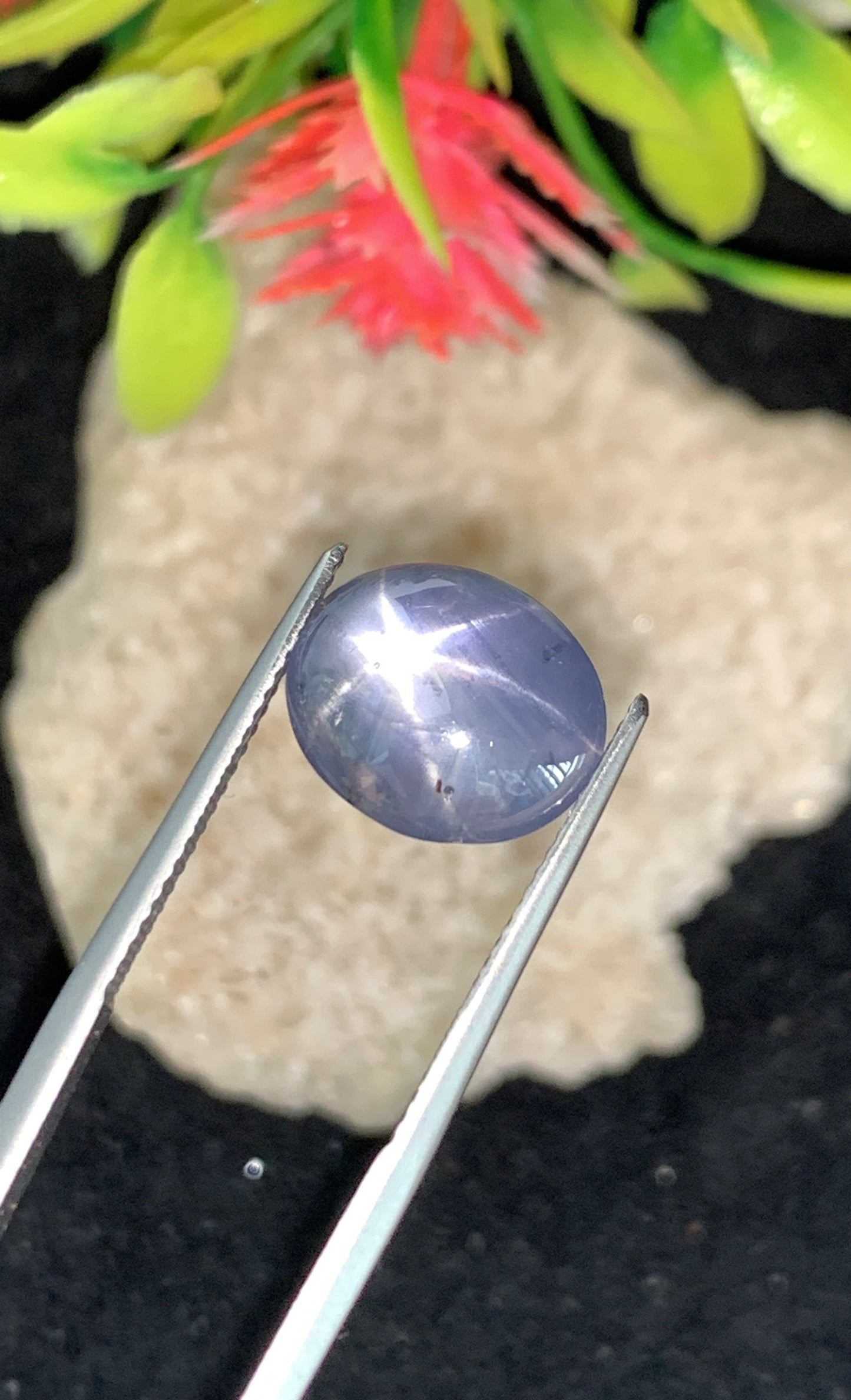 9.85 cts Unheated Star Sapphire