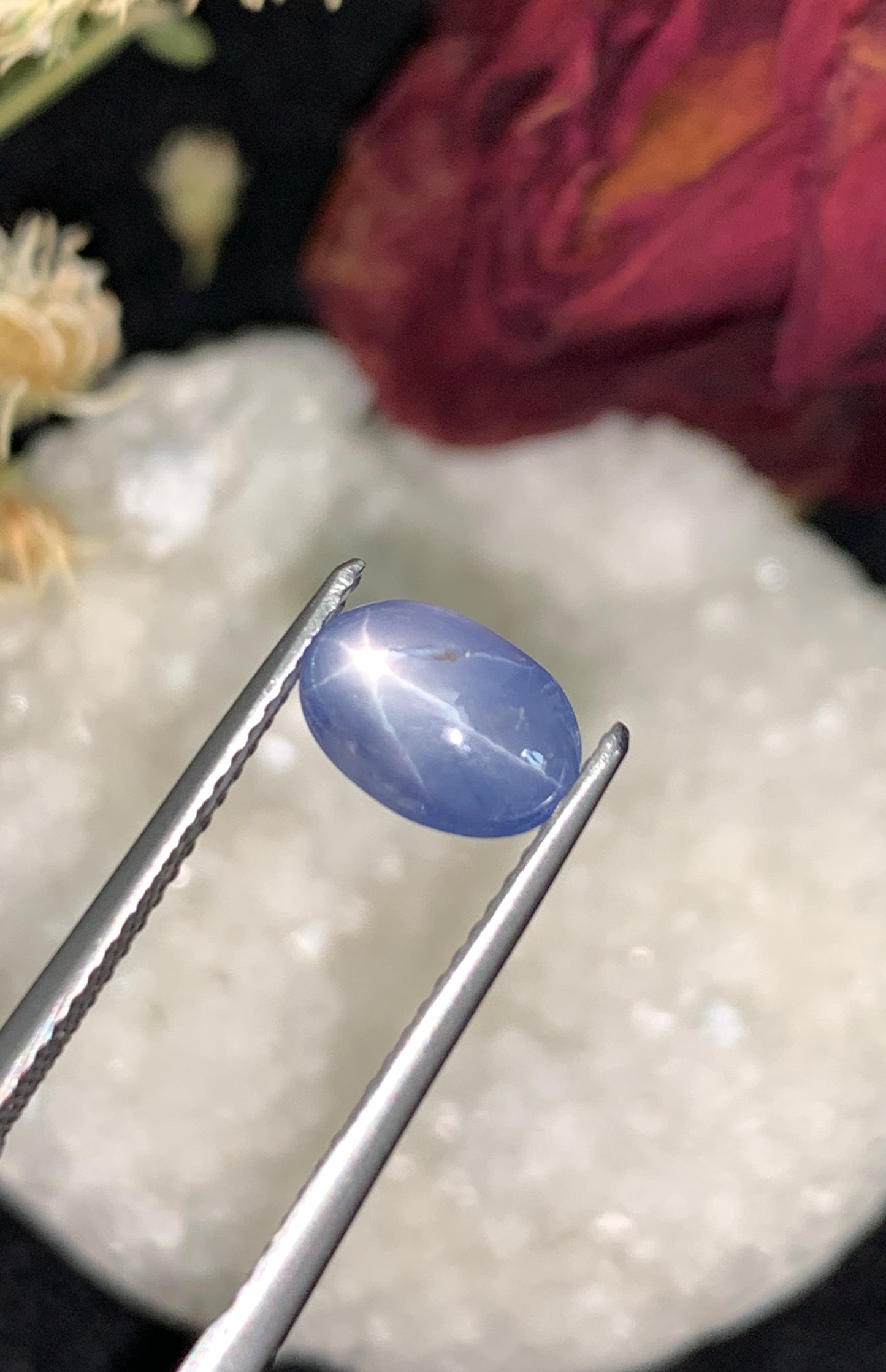 2.83 cts Unheated Star Sapphire, Sri Lanka