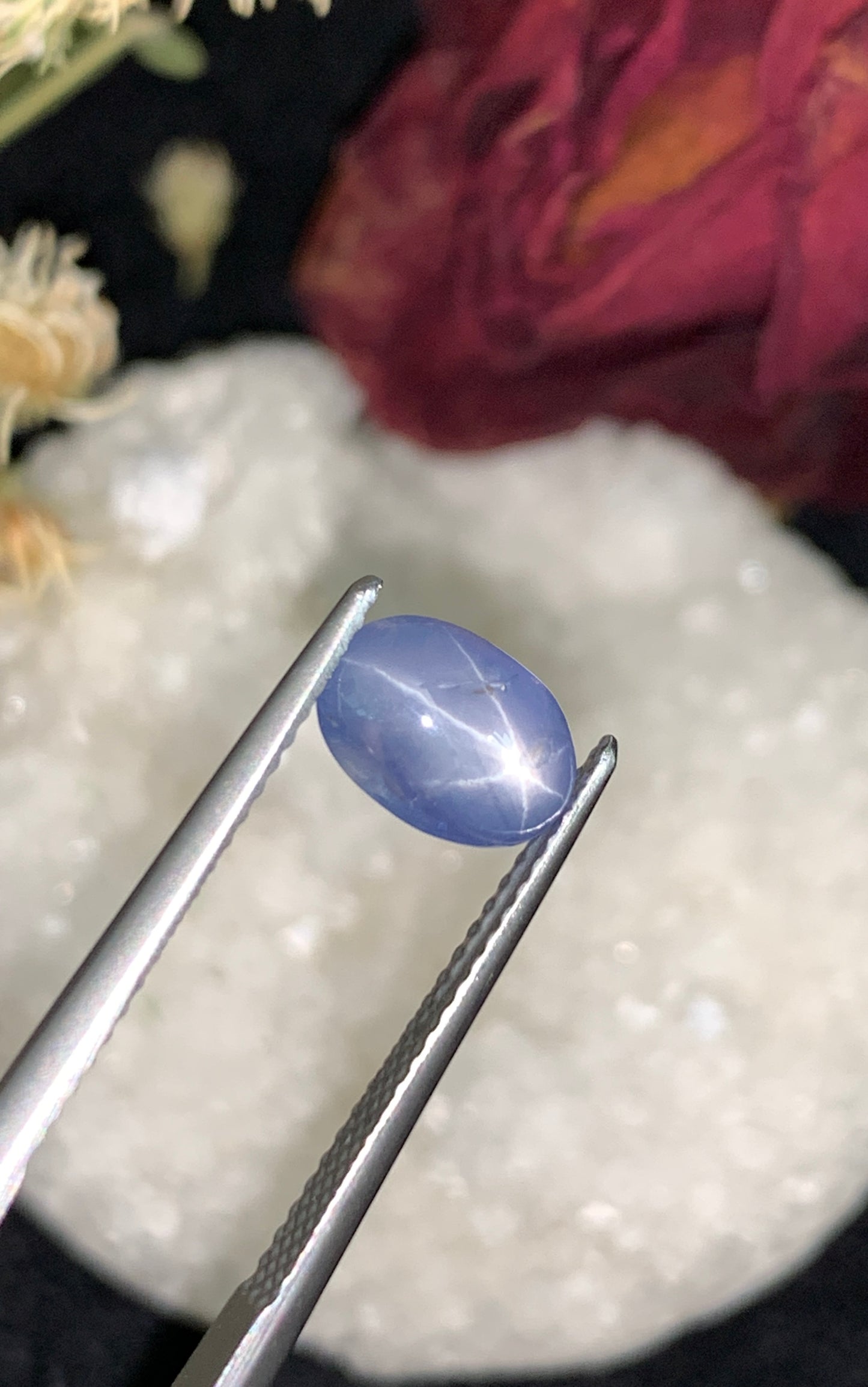 2.83 cts Unheated Star Sapphire, Sri Lanka