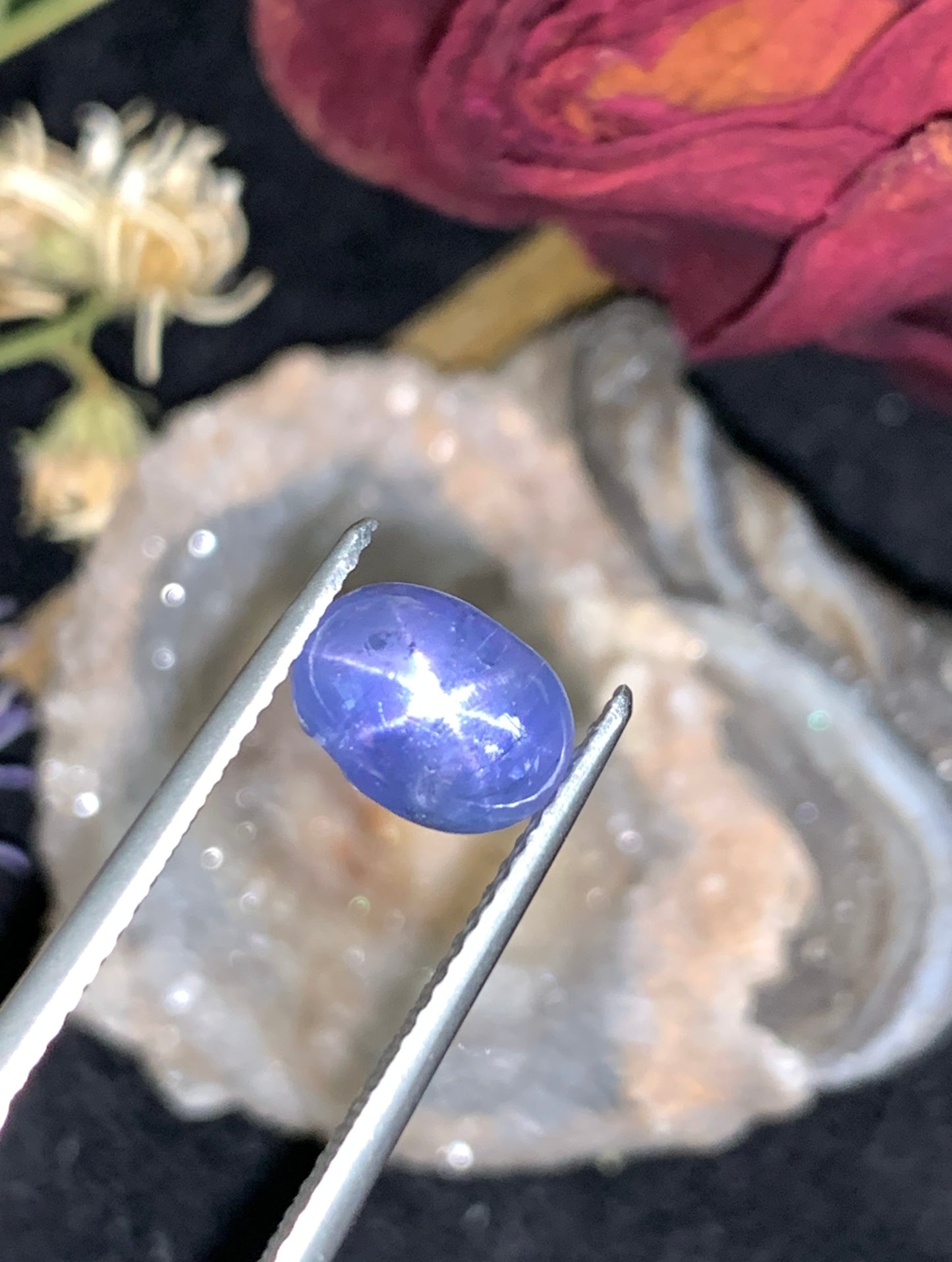 3.73 cts Unheated Star Sapphire, Sri Lanka.