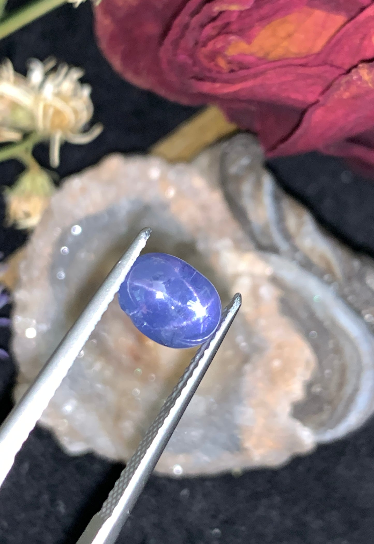 3.73 cts Unheated Star Sapphire, Sri Lanka.
