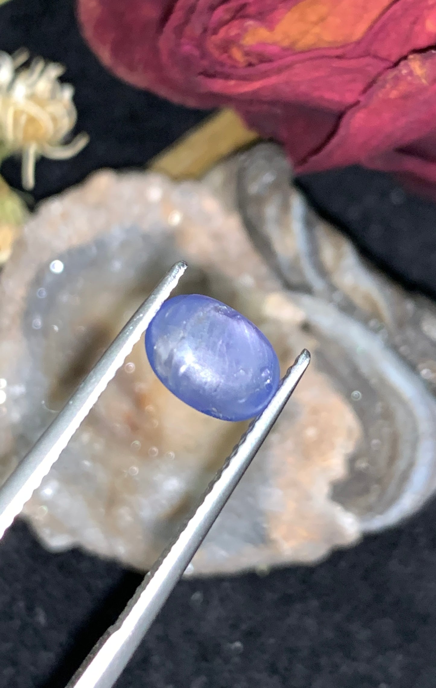 3.73 cts Unheated Star Sapphire, Sri Lanka.