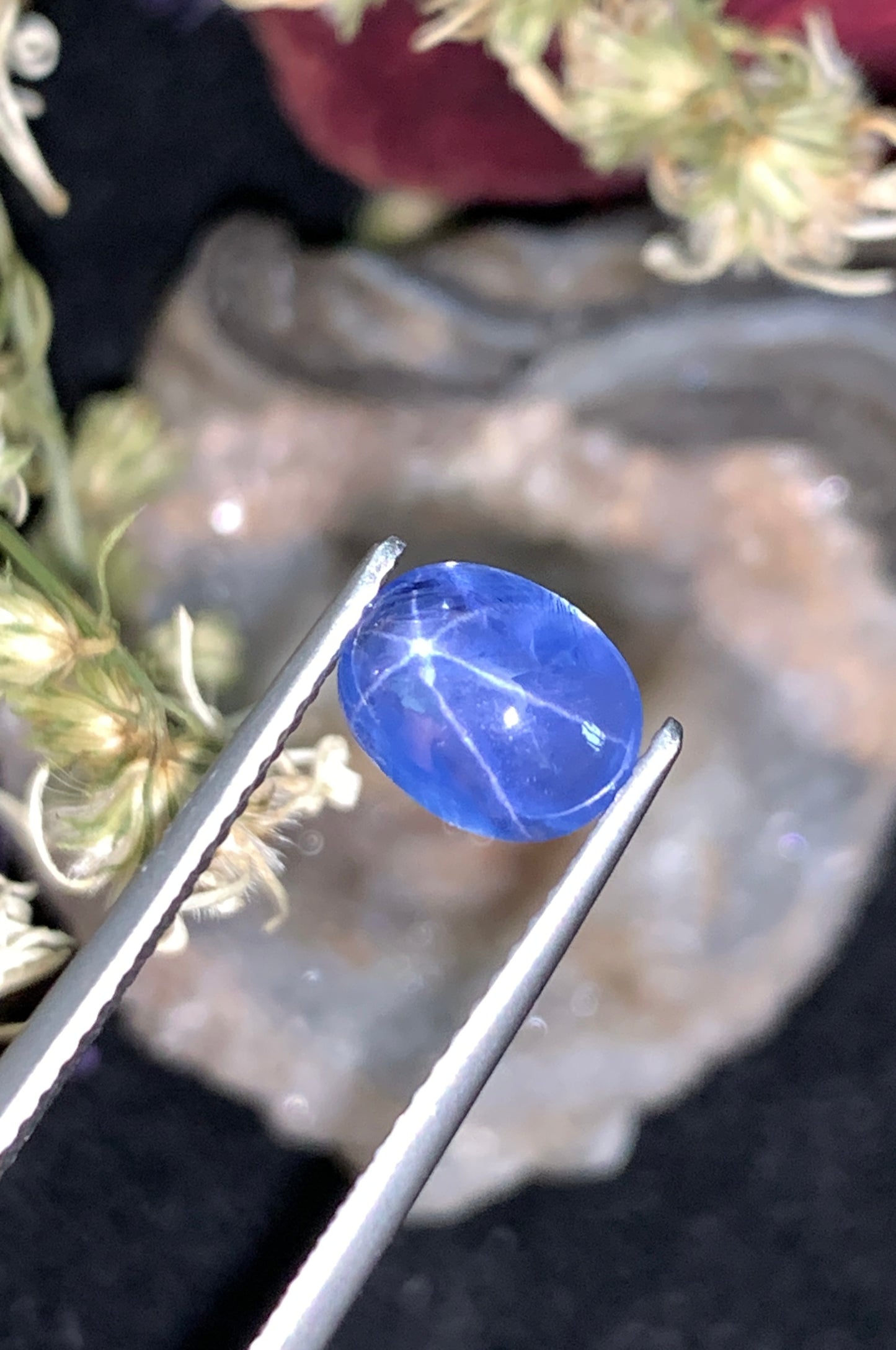 1.86 cts Unheated Star Sapphire, Sri Lanka.