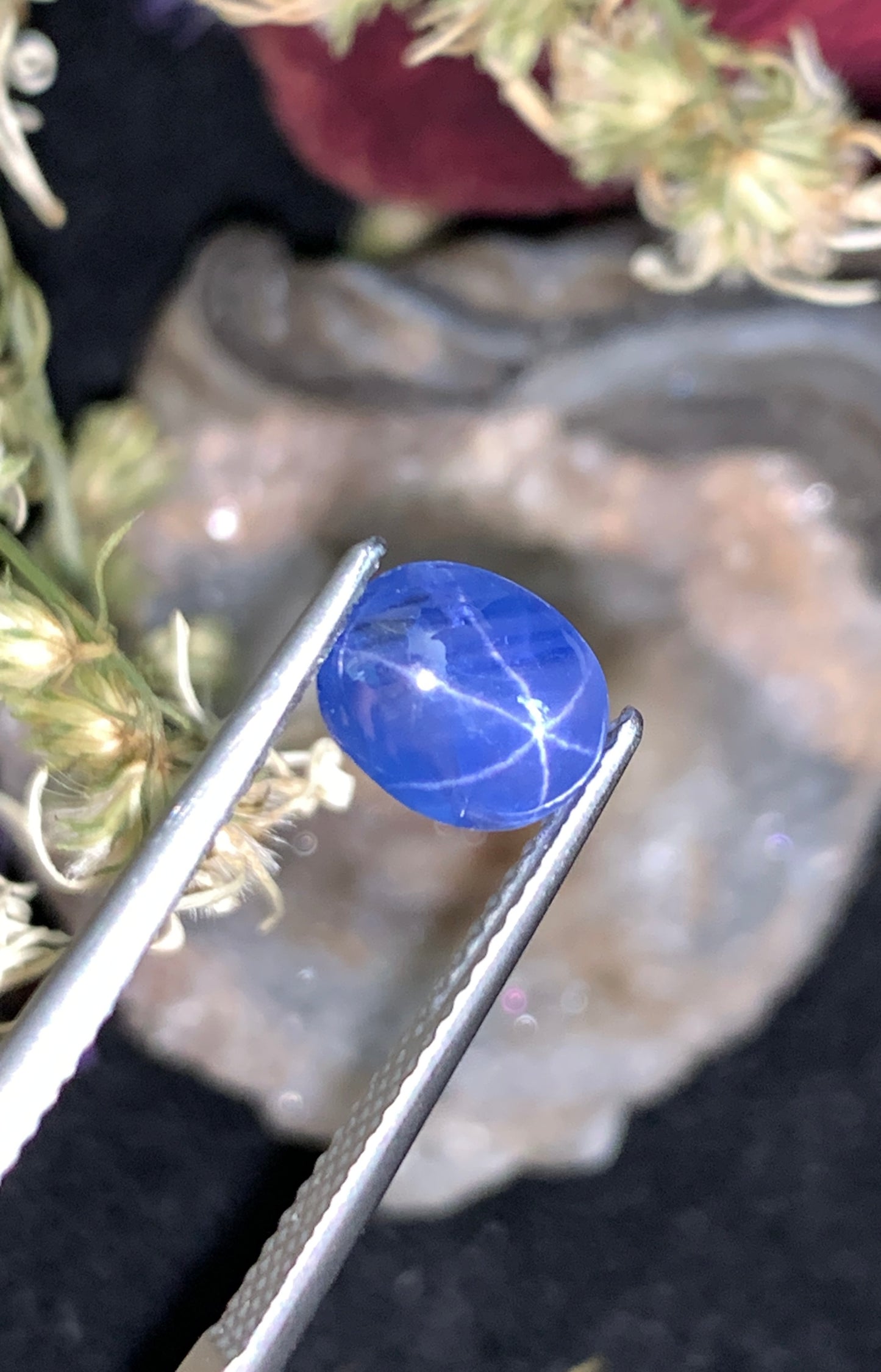 1.86 cts Unheated Star Sapphire, Sri Lanka.