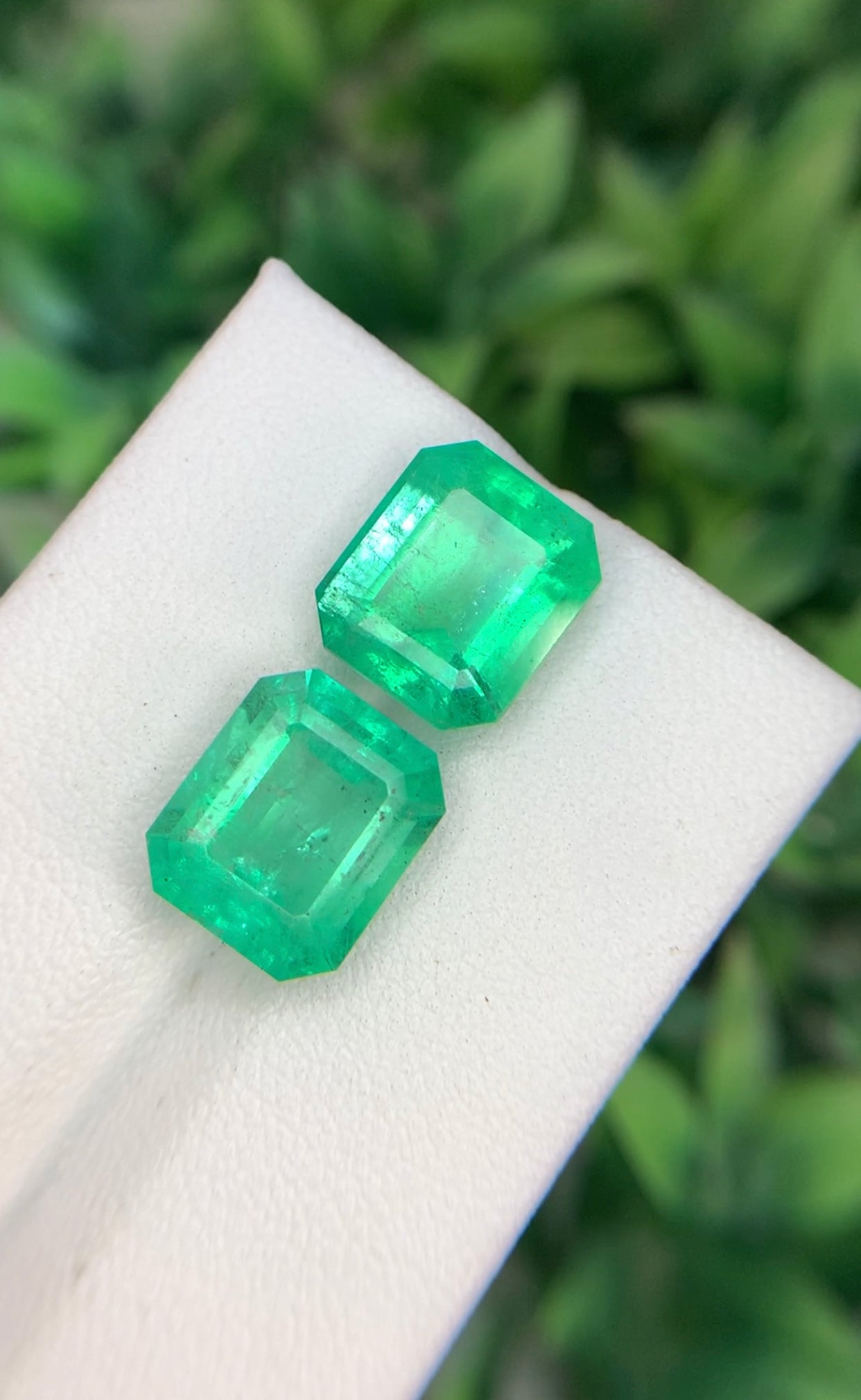 9.25 cts Colombian Emerald Pair