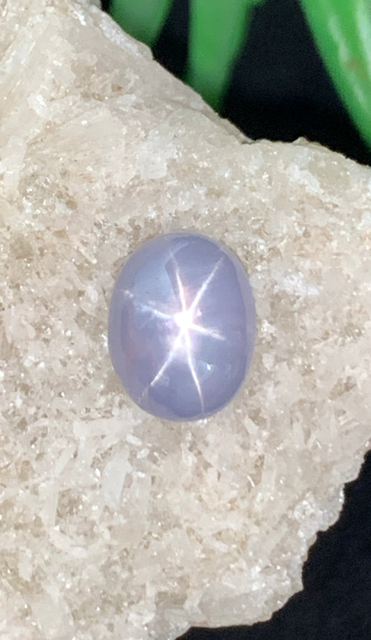 4.43 cts Unheated Star Sapphire