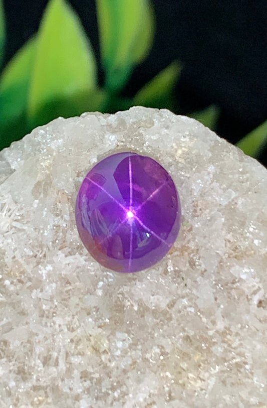 2.83 cts Unheated Pink Star Sapphire