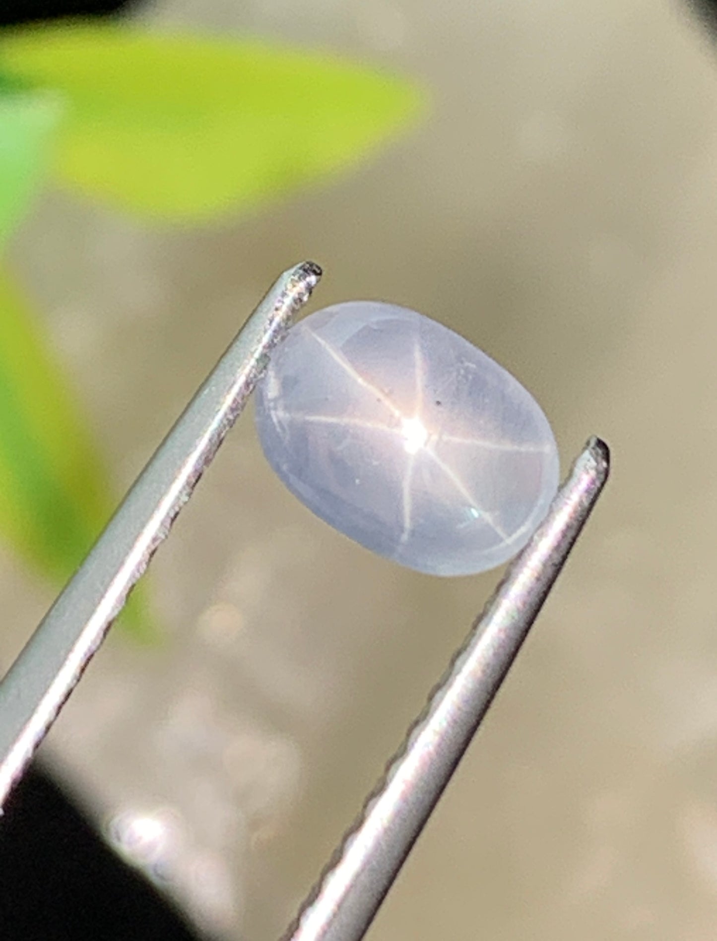 1.39 cts Unheated Star Sapphire