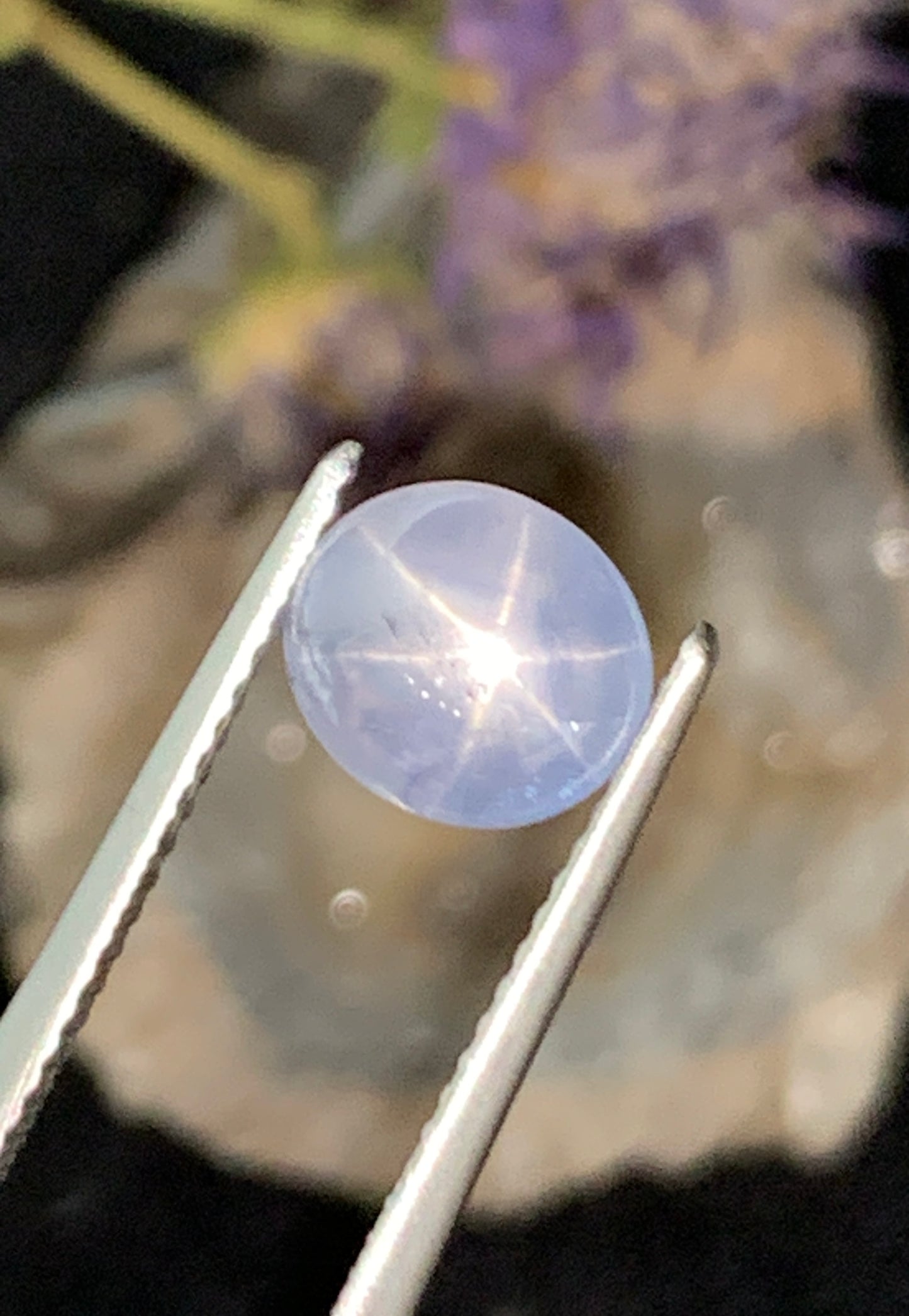 3.79 cts Unheated Star Sapphire