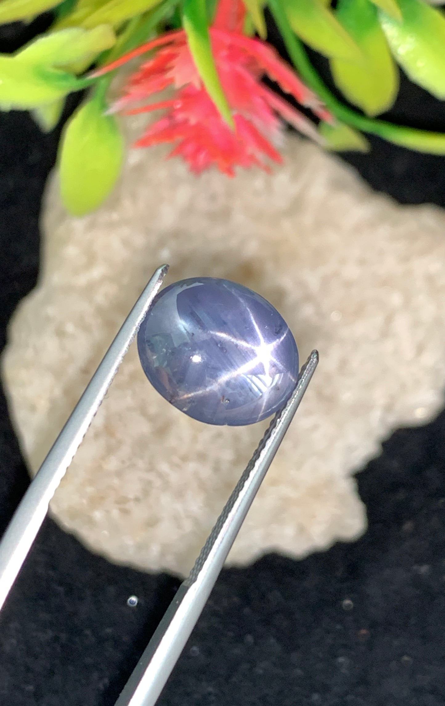 9.85 cts Unheated Star Sapphire
