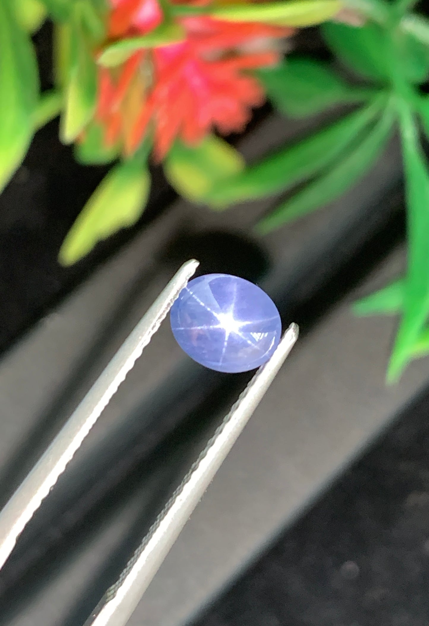 1.42 Unheated Star Sapphire