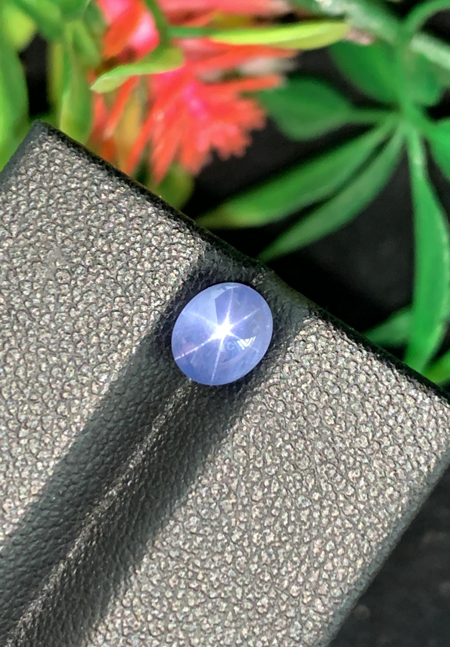 1.42 Unheated Star Sapphire