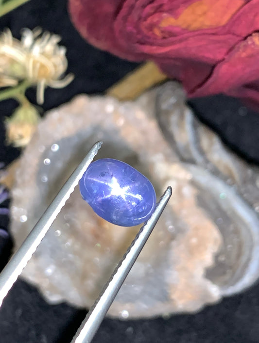 3.73 cts Unheated Star Sapphire, Sri Lanka.