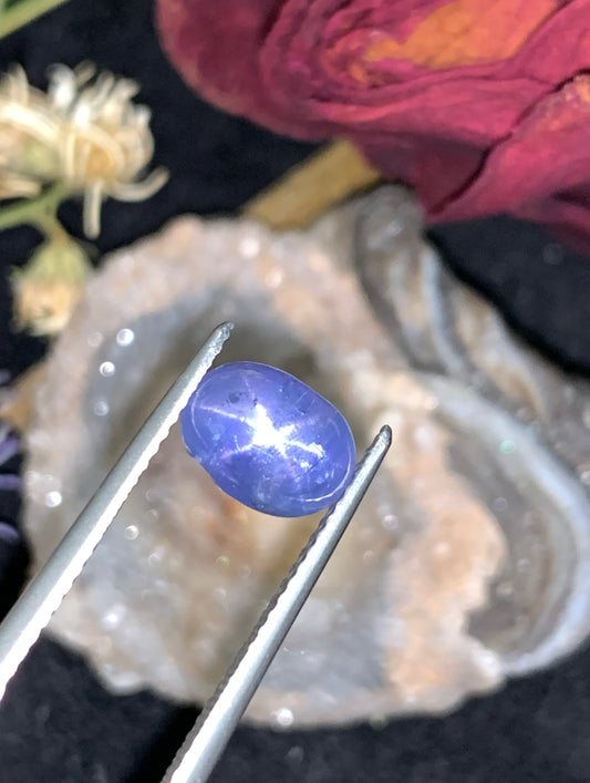 3.73 cts Unheated Star Sapphire, Sri Lanka.