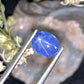 1.86 cts Unheated Star Sapphire, Sri Lanka.