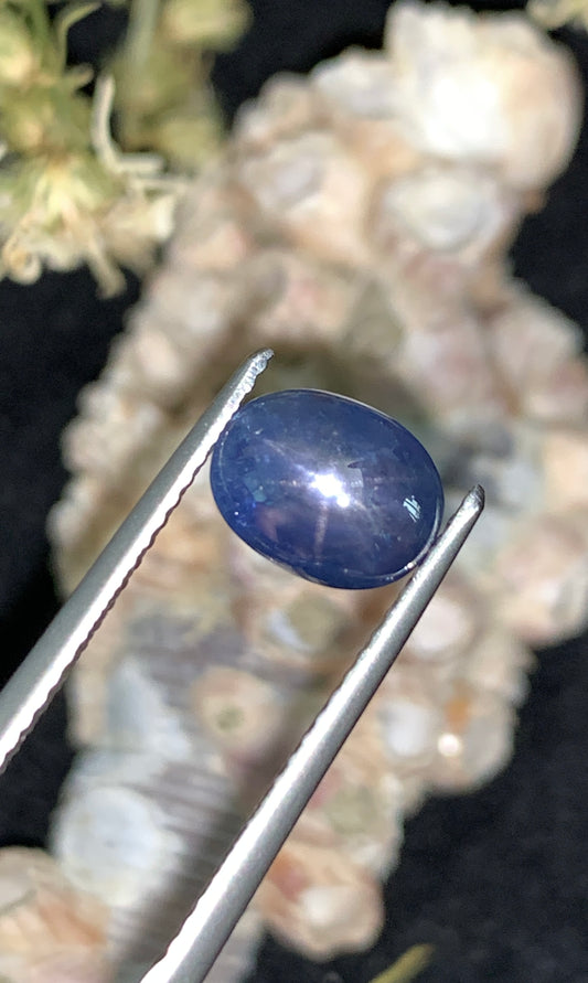 2.81 cts Unheated Star Sapphire, Sri Lanka.