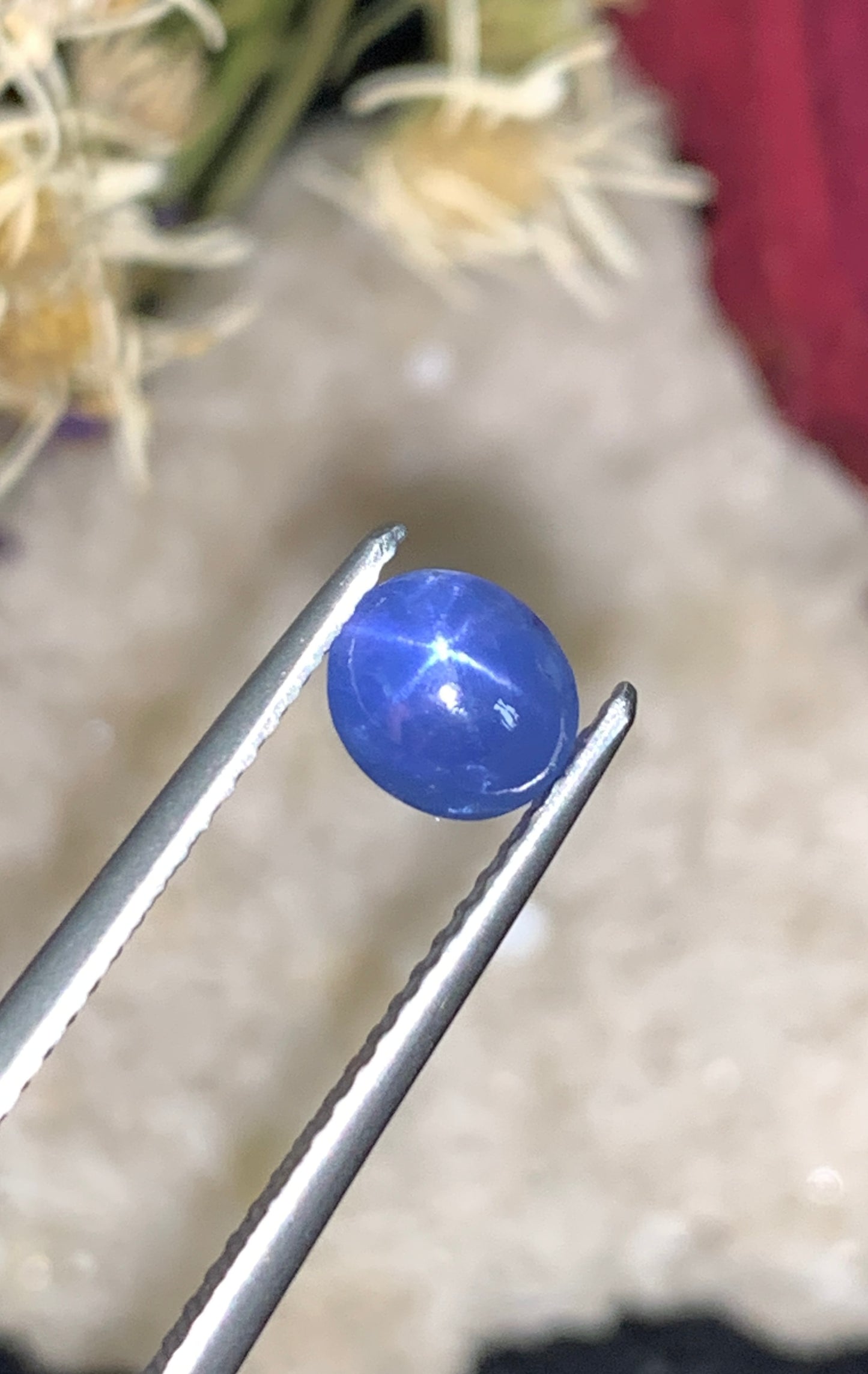 1.51 cts Unheated Star Sapphire, Sri Lanka