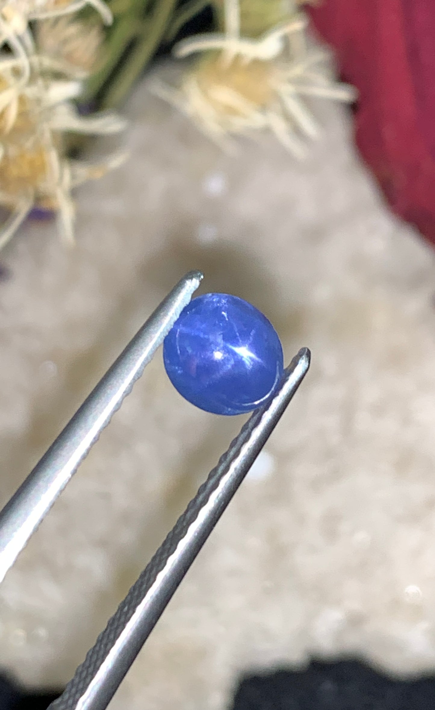 1.51 cts Unheated Star Sapphire, Sri Lanka