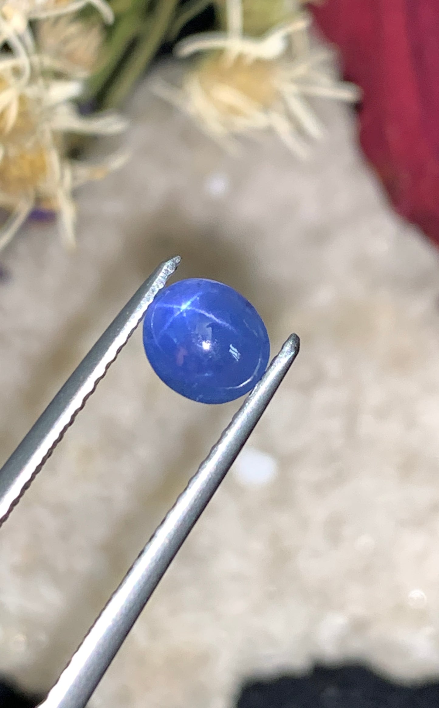 1.51 cts Unheated Star Sapphire, Sri Lanka