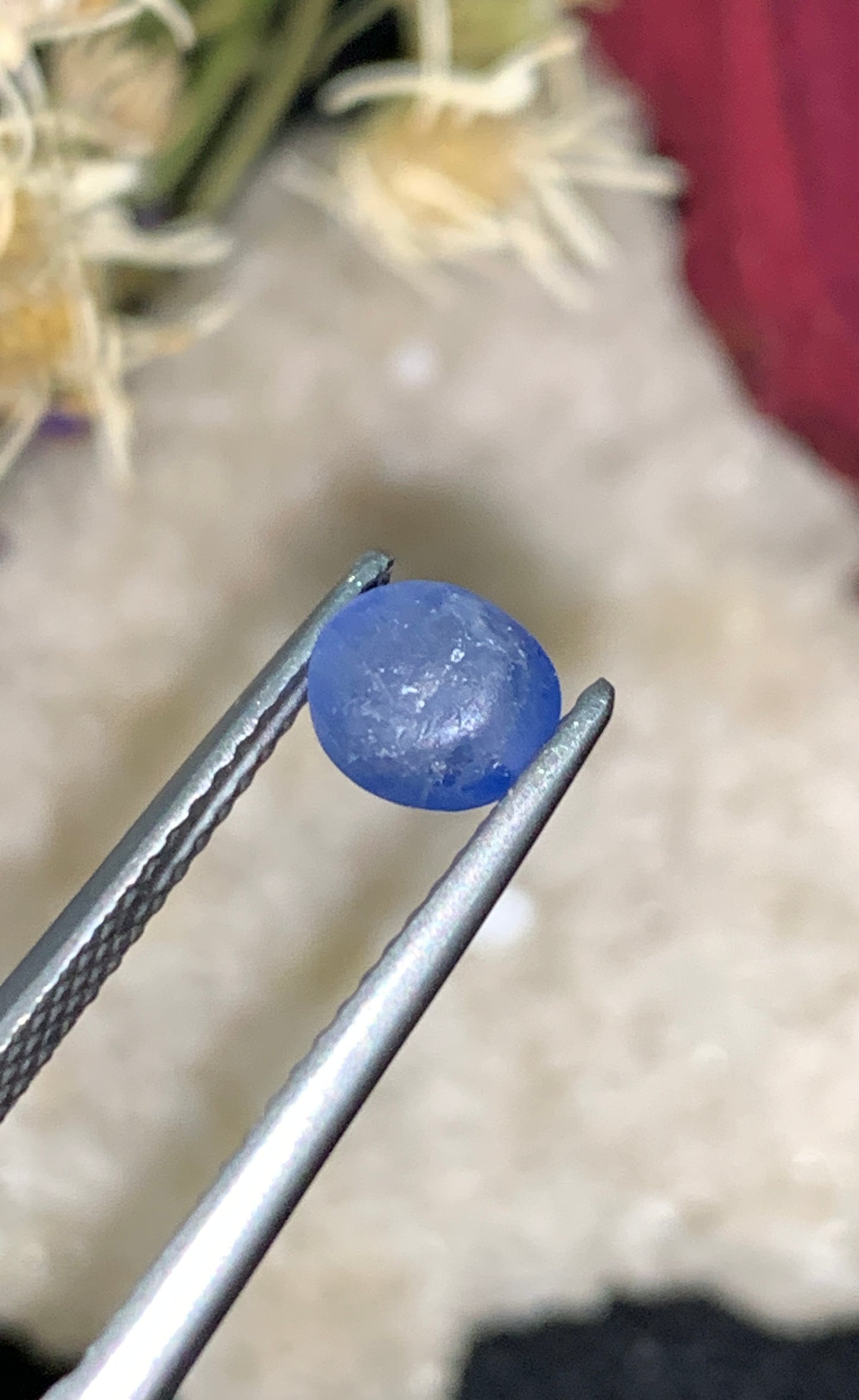 1.51 cts Unheated Star Sapphire, Sri Lanka