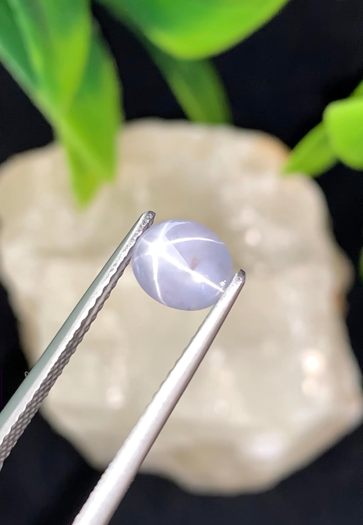 1.84 cts Unheated Star Sapphire, Sri Lanka.