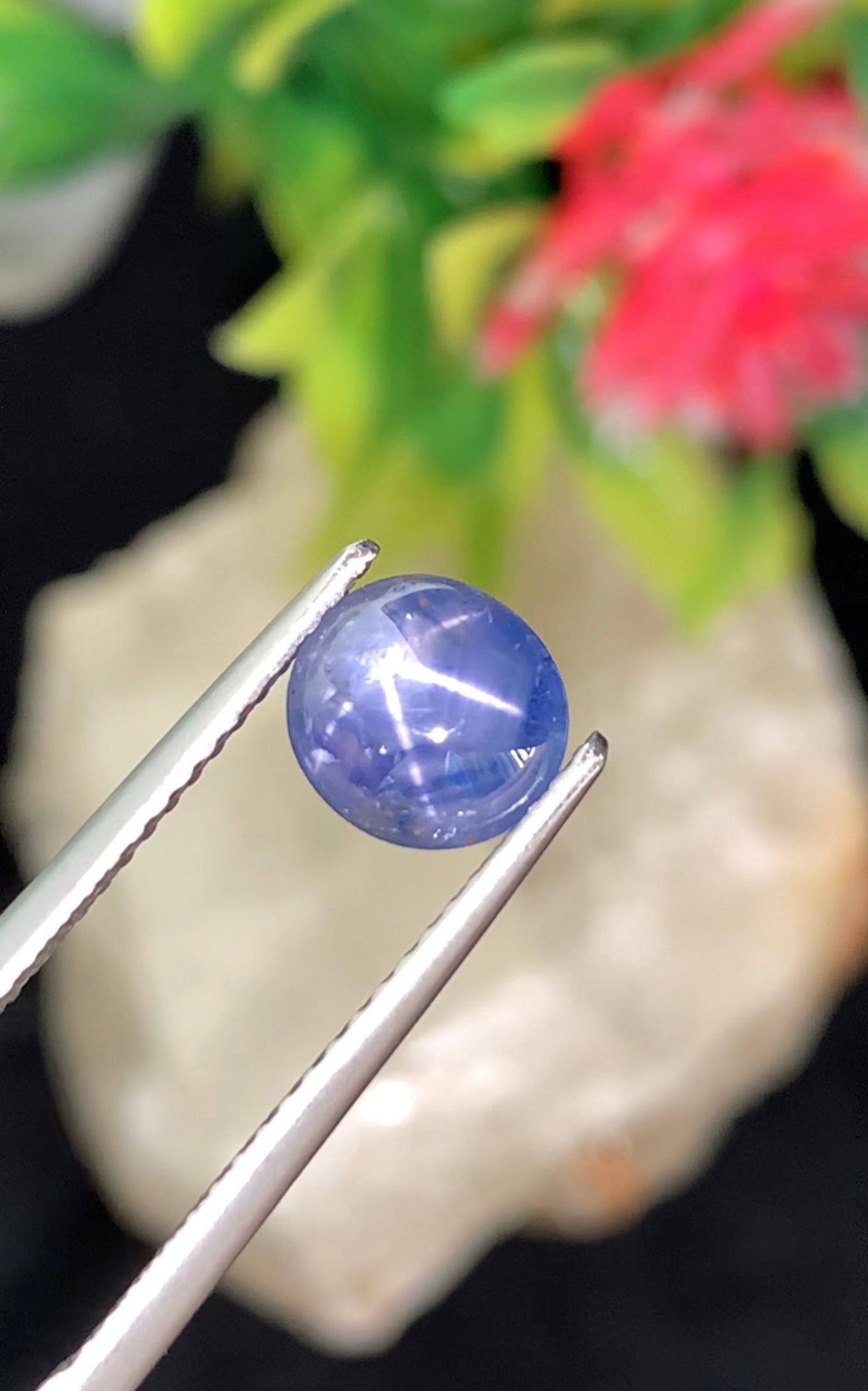 1.44 cts Unheated Star Sapphire,Sri Lanka.