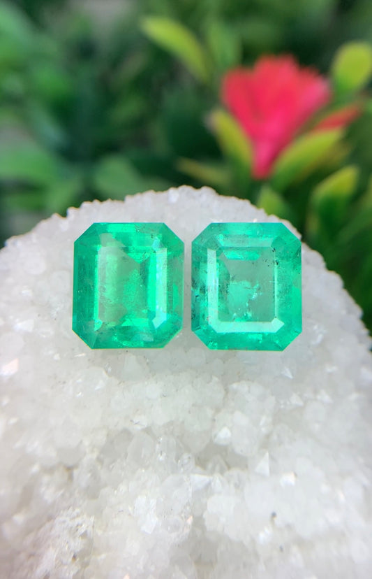 9.25 cts Colombian Emerald Pair