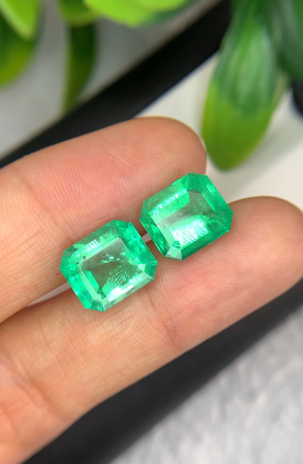 9.25 cts Colombian Emerald Pair